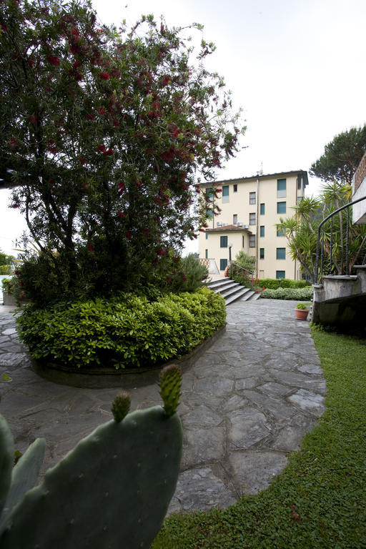 Grappolo D'oro Pietrasanta