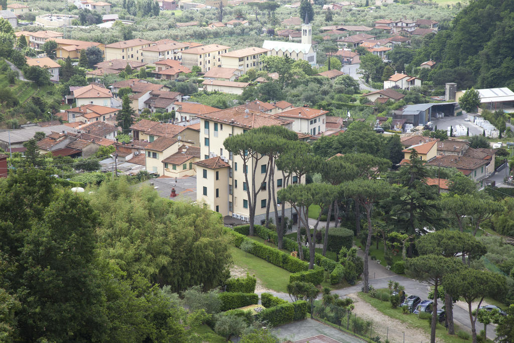 Grappolo D'oro Pietrasanta